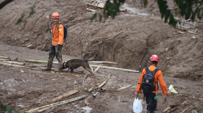 Hari ini (26/1) dua excavator kembali didatangkan untuk membantu upaya percepatan penanganan. Dengan demikian, total lima excavator berukuran sedang telah dikerahkan dalam operasi SAR.