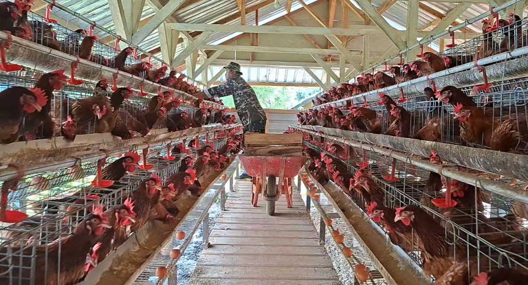 Danlanud mengatakan program ketahanan pangan di Lanud SDM diarahkan untuk mewujudkan hilirisasi komoditas hasil produksi agar langsung dimanfaatkan oleh dapur SPPG.