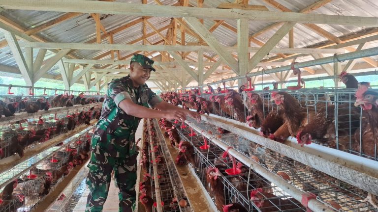 Lanud R. Suryadi Suryadarma (SDM) menjalankan hilirisasi hasil produksi perikanan dan peternakan dengan memasok bahan pangan ke dapur Satuan Pelayanan Pemenuhan Gizi (SPPG) untuk mendukung program Makan Bergizi Gratis (MBG) bagi ribuan siswa penerima manfaat.  Danlanud mengatakan program ketahanan pangan di Lanud SDM diarahkan untuk mewujudkan hilirisasi komoditas hasil produksi agar langsung dimanfaatkan oleh dapur SPPG.  Panen perdana ikan nila dilakukan setelah masa pemeliharaan selama enam bulan. Sebanyak sekitar 20.000 benih ikan ditebar di kolam berukuran 30 x 40 meter dengan kedalaman sekitar tiga meter.***(Foto: Ekobisnis.com/Dok Dispenau)