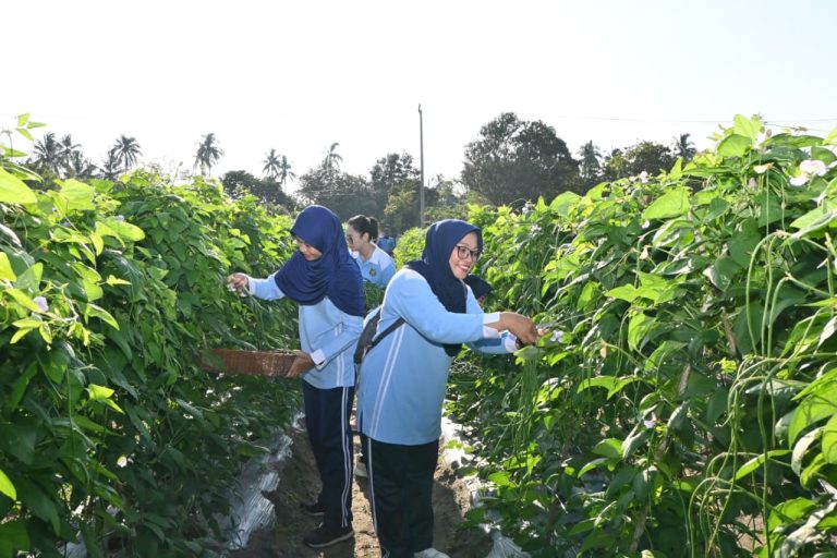 Danlanud menyampaikan apresiasi kepada personel yang telah bekerja hingga masa panen tiba. Ia menilai capaian tersebut lahir dari kerja sama dan komitmen bersama.