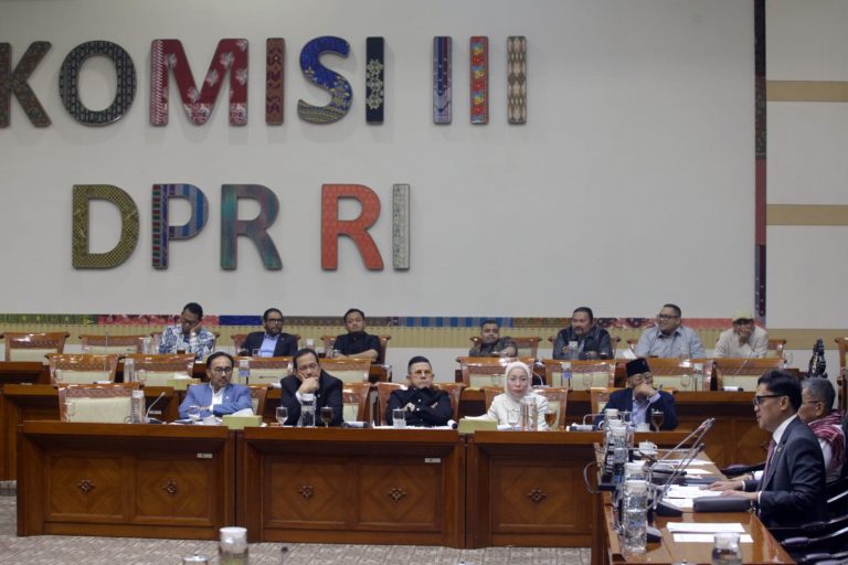 Rapat tersebut mendengarkan keterangan Kajari Kabupaten Karo, Jaksa Penuntut Umum (JPU), dan Amsal Christiy Sitepu terkait polemik atas kasus dugaan penggelembungan dana pembuatan video profil desa di Kabupaten Karo.