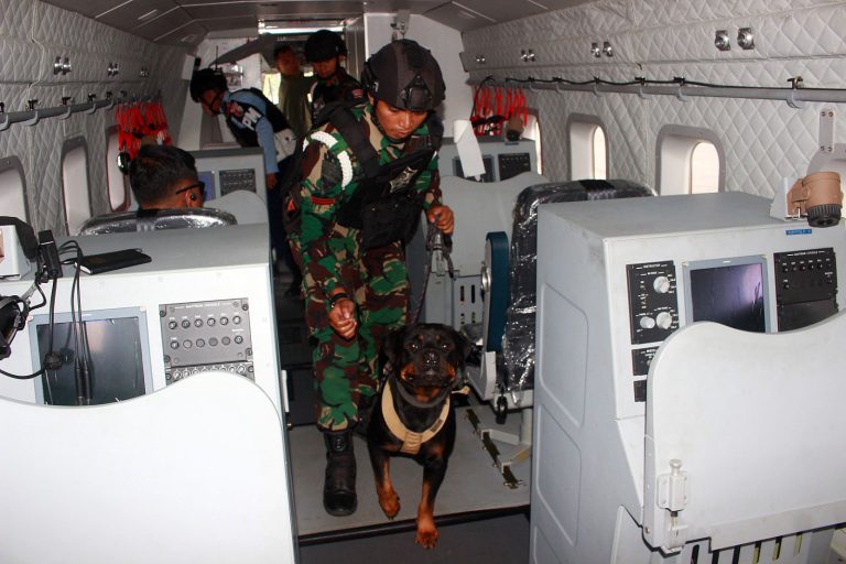 Danlanud Abdulrachman Saleh, Marsma TNI Reza R. R. Sastranegara, menjelaskan bahwa simulasi ini dirancang untuk melatih seluruh unsur, baik individu maupun tim, agar siap menghadapi kondisi nyata sesuai Standar Operasional Prosedur (SOP) pada setiap tahapan penanganan pasca force down.