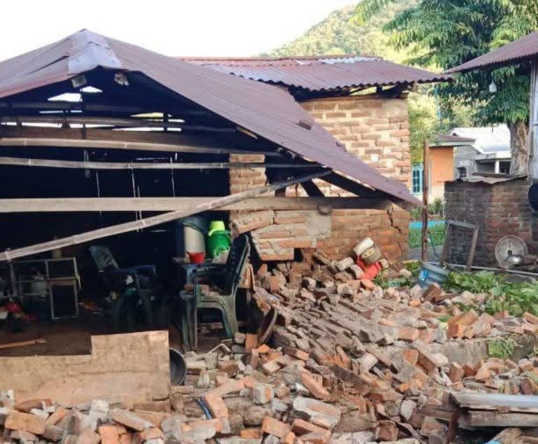 Pada saat gempa terjadi, guncangan dirasakan kuat selama 2 sampai 4 detik oleh warga. Merujuk laporan sementara pada Kamis (9/4) pukul 11.00 WIB, lokasi terdampak berada di Desa Terong Kecamatan Adonara Timur.